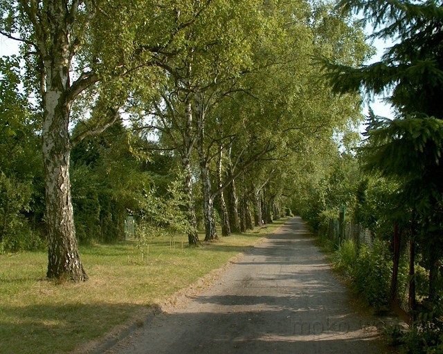 Al. Brzozowa, Działki Rakowiec