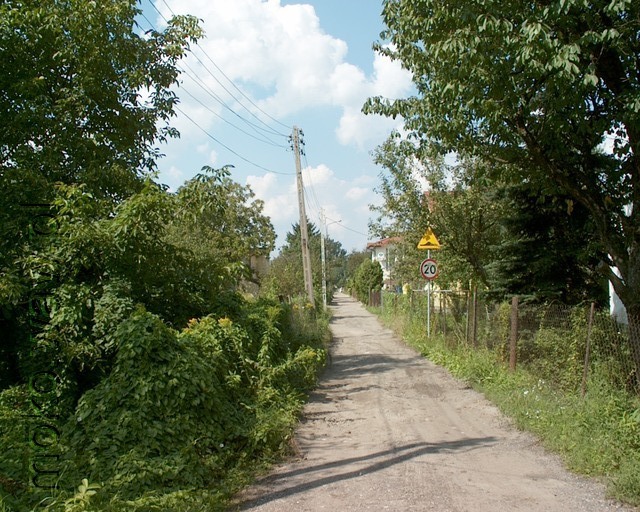 Figowa, 2010 Figowa, 2010