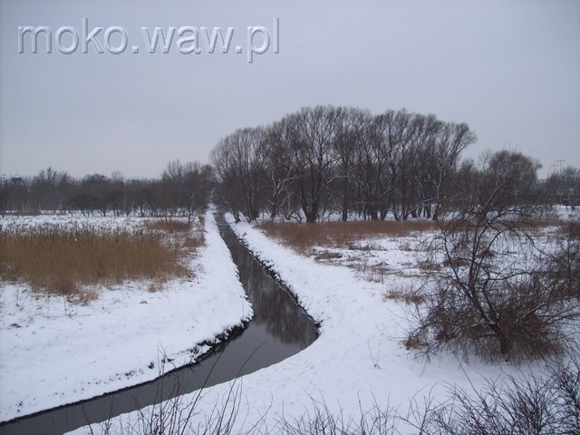 Kanał Czerniakowski, 2011 Kanał Czerniakowski, 2011