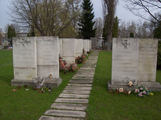 Cm. Wałbrzyska, 2011 Cm. Wałbrzyska, 2011