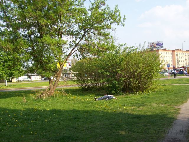 Wołoska, 2011 Wołoska, 2011