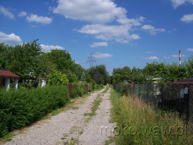 Dłutowska, 2011 Dłutowska, 2011
