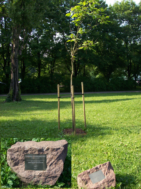 Surma Wodeckiego, 2011 Surma Wodeckiego, 2011