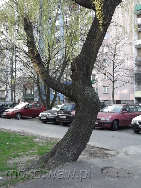 Bryły, 2014