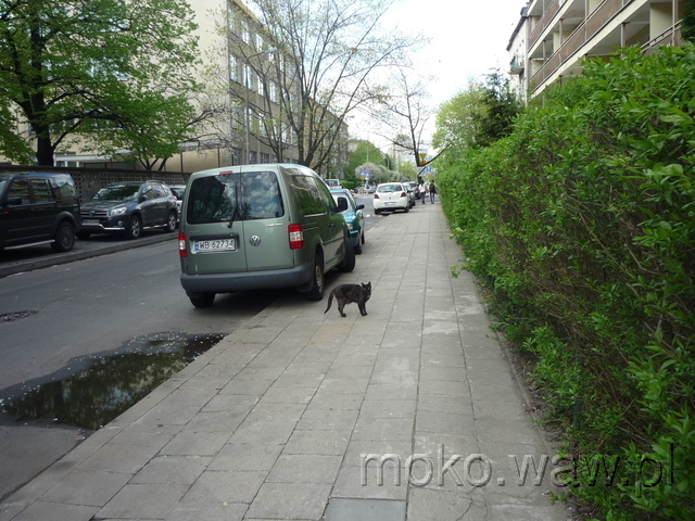 Wiśniowa, 2015 Wiśniowa, 2015