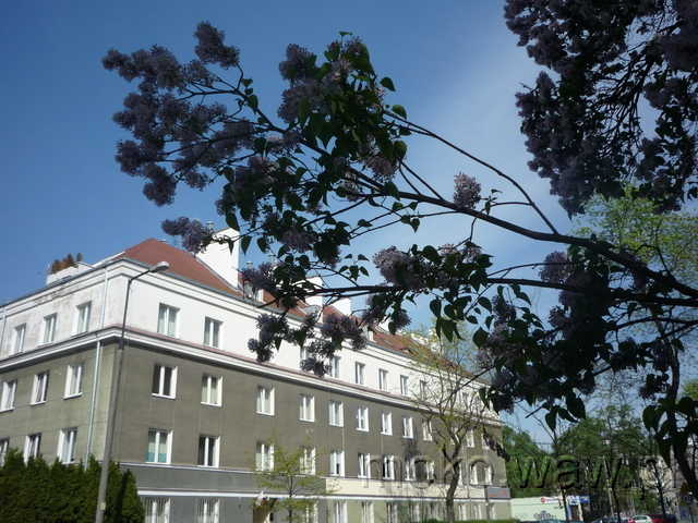 Kazimierzowska, 2015 Kazimierzowska, 2015