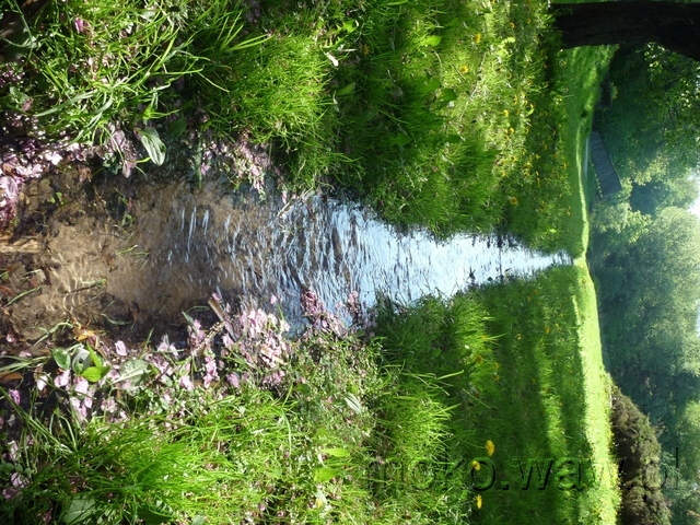 Park Morskie Oko, 2015 Park Morskie Oko, 2015