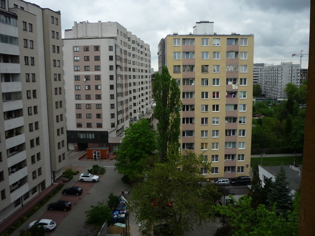 Filona, 2015