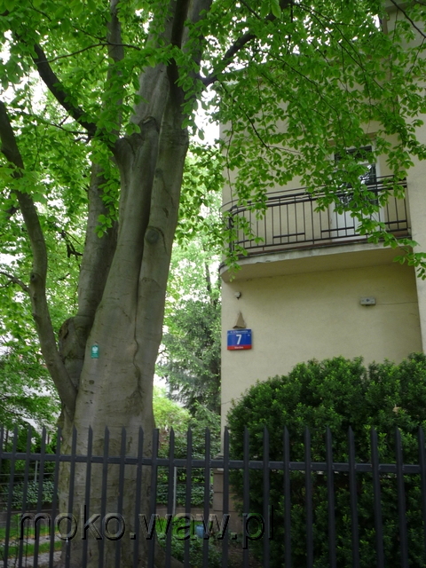 Naruszewicza, 2015 Naruszewicza, 2015