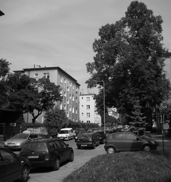 Wejnerta, 2015 Wejnerta, 2015