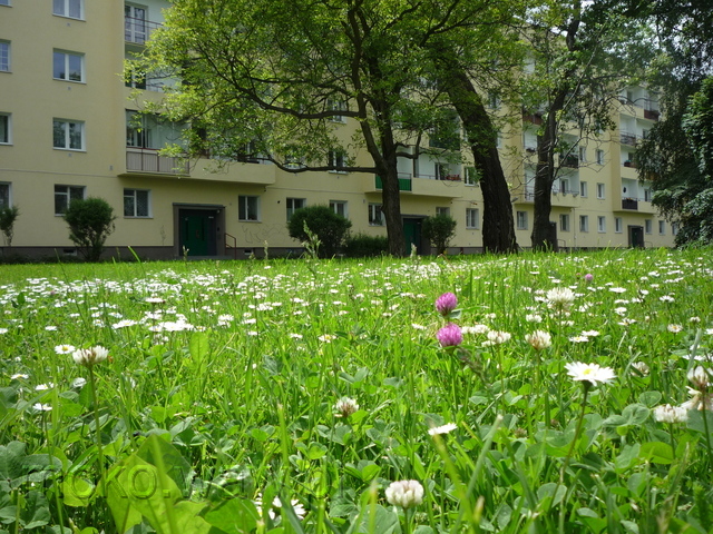 Grottgera, 2015 Grottgera, 2015