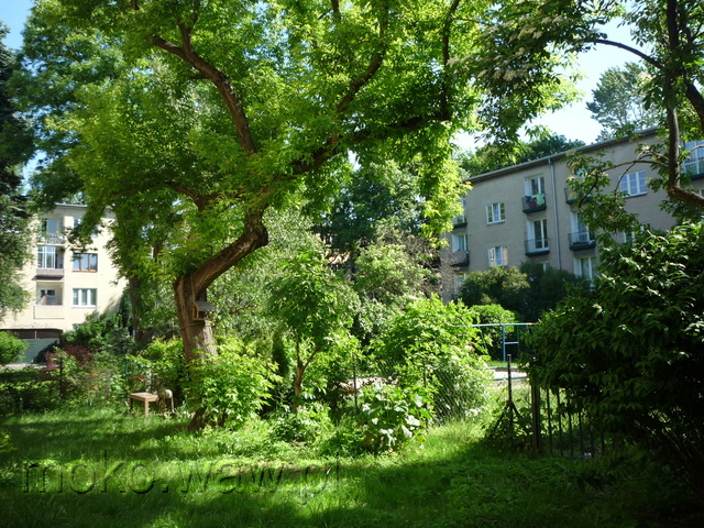 Balladyny, 2015