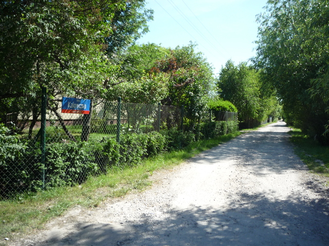 Kaloryczna, 2015 Kaloryczna, 2015