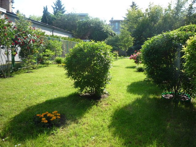 Karłowicza, 2015 Karłowicza, 2015