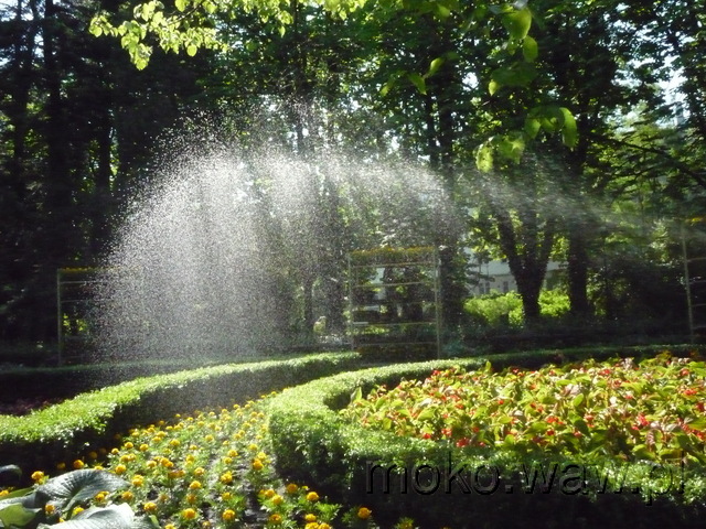 Park Dreszera, 2004