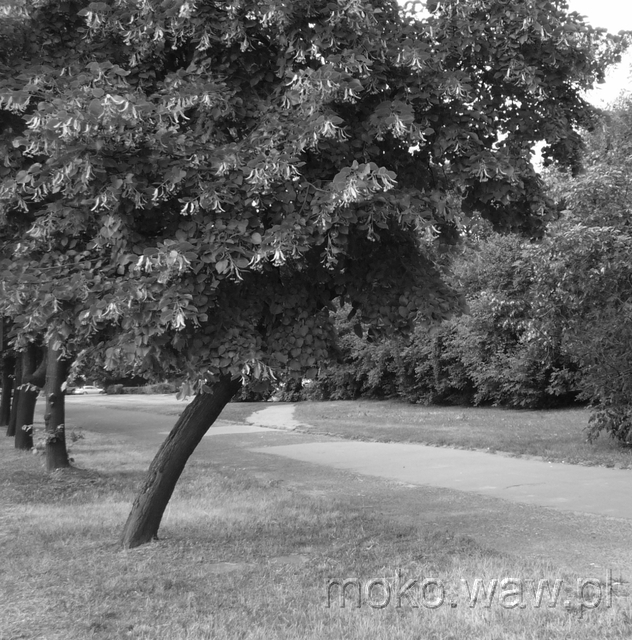 Al. Sikorskiego, 2015