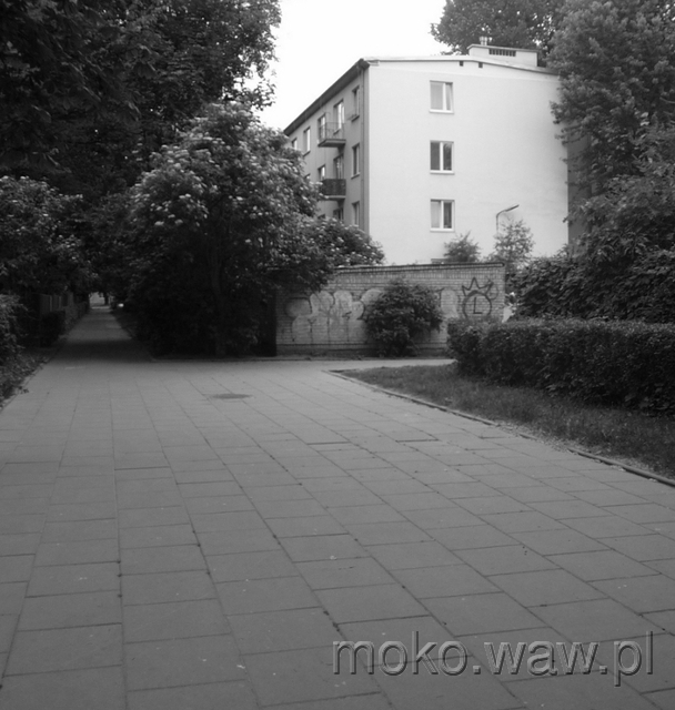 Dąbrowskiego, 2015 Dąbrowskiego, 2015