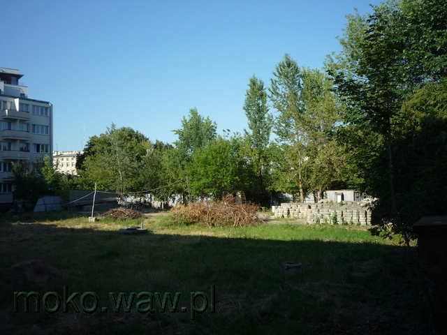 Boryszewska, 2015 Boryszewska, 2015