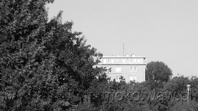 Al. Niepodległości, 2015 Al. Niepodległości, 2015
