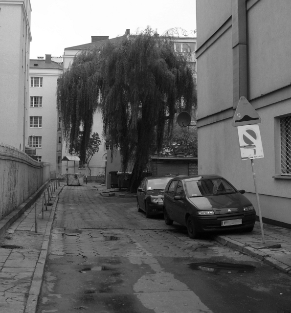 Madalińskiego, 2015 Madalińskiego, 2015