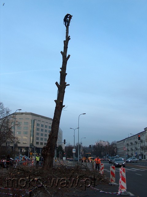 Belwederska, 2015 Belwederska, 2015