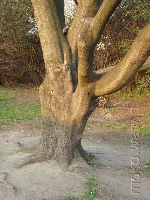 Al. Sikorskiego, 2016