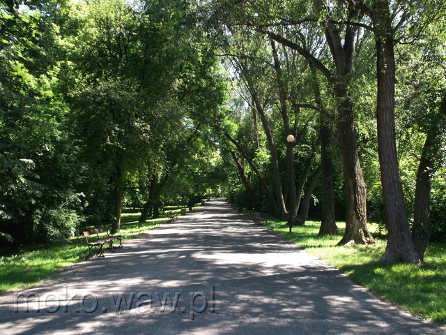 Park Rakowiec, 2016 Park Rakowiec, 2016