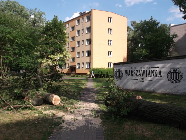Piwarskiego, 2016 Piwarskiego, 2016