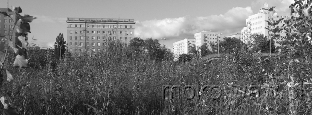 Chełmska, 2016 Chełmska, 2016
