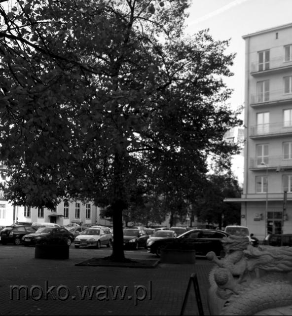 Skwer Kaczmarskiego, 2016