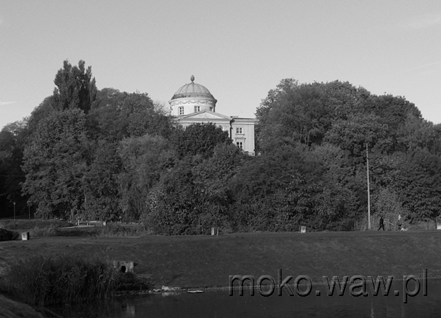 Królikarnia, 2016