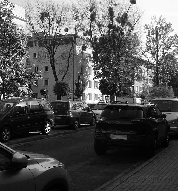 Wiśniowa, 2016 Wiśniowa, 2016