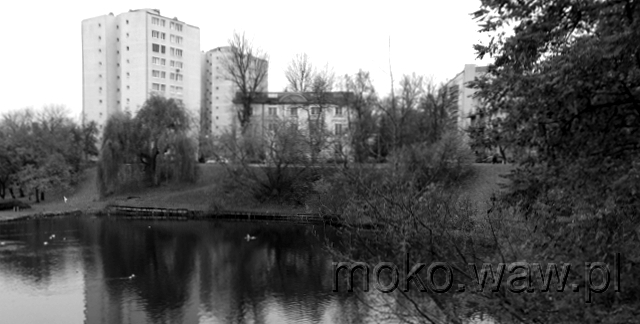 Dworkowa, 2016 Dworkowa, 2016