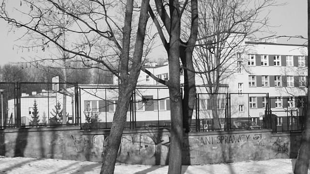 szkoła przy Grottgera - 2017