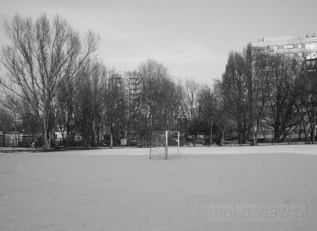 Św. Bonifacego, 2017 Św. Bonifacego, 2017