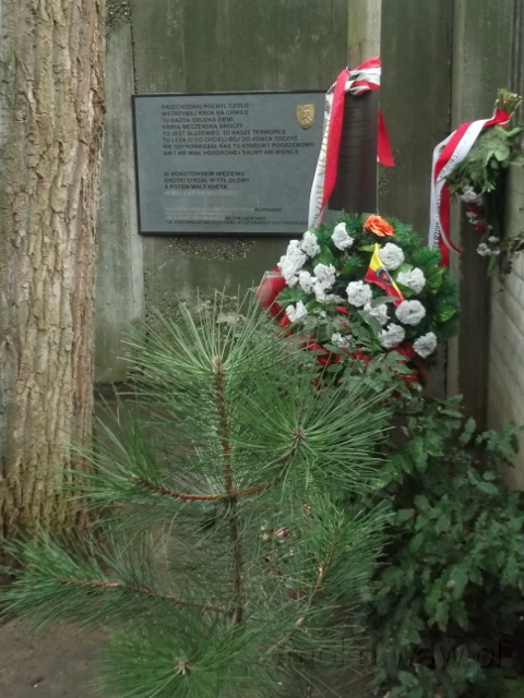 Cmentarz Wałbrzyska, 2017