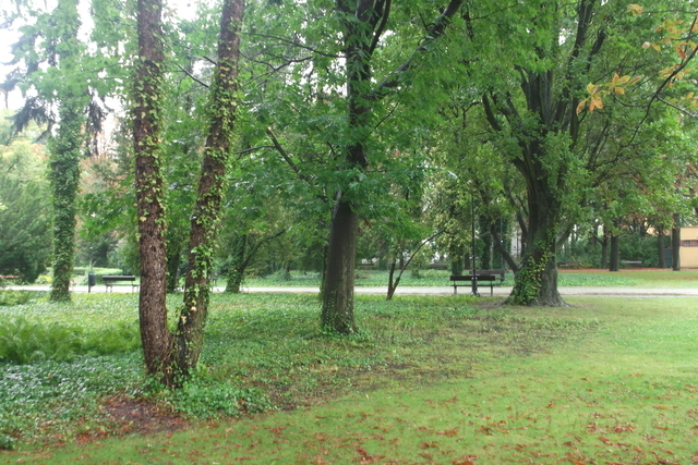 Park Dreszera, 2017 Park Dreszera, 2017