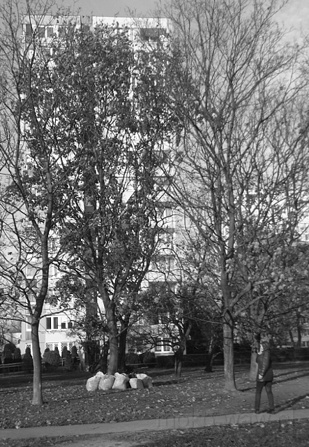 Bernardyńska 23 od Gołkowskiej - 2017 Bernardyńska 23 od Gołkowskiej - 2017