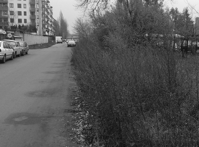 ul. Ludwiżanki, 2017