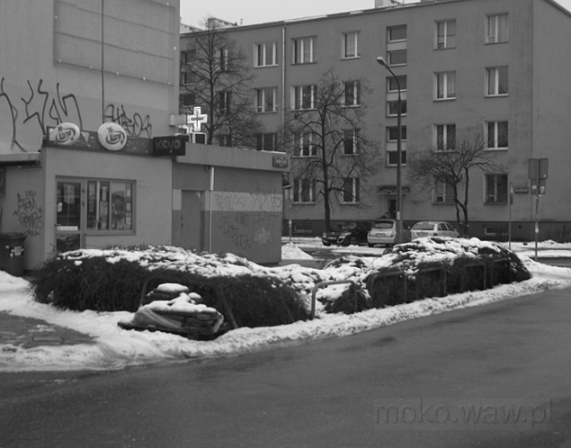 Joliot-Curie, zima 2018