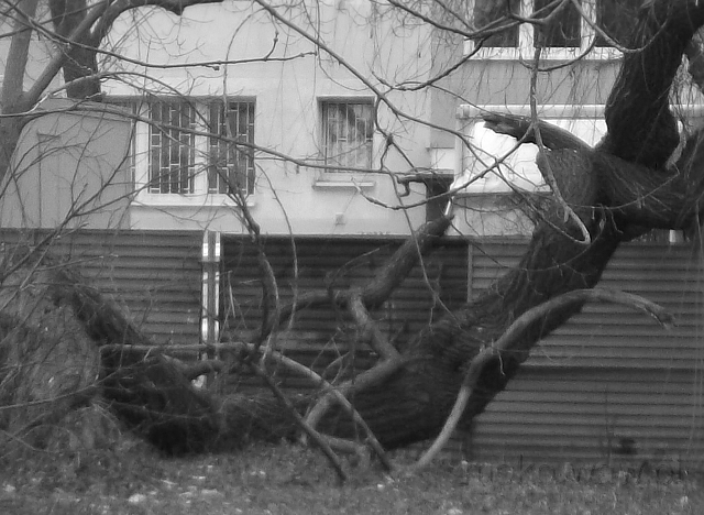 Bagatelka w środku, widok z 2018 Bagatelka w środku, widok z 2018