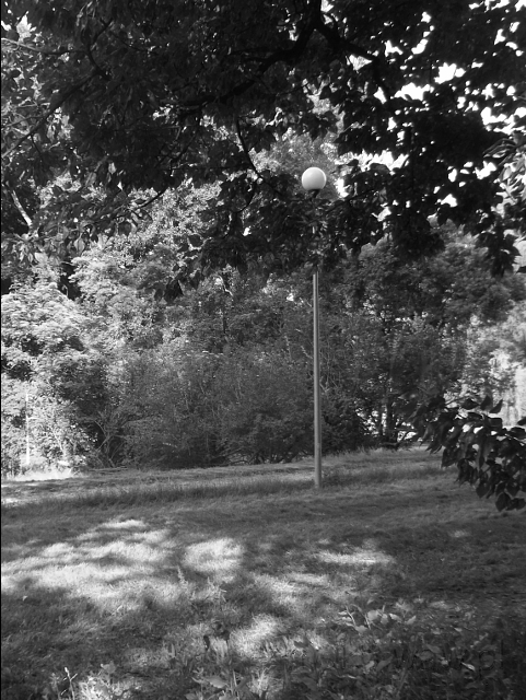 Eksedra, widok z 2018