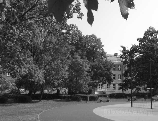 Okrężna, szkoła, 2018