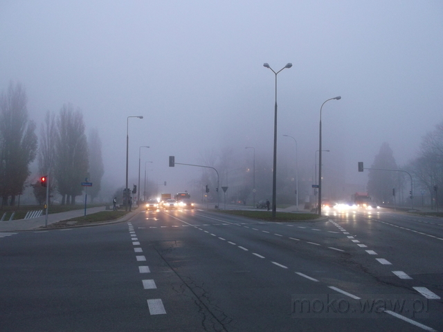 Al. Niepodległości, 2018 Al. Niepodległości, 2018