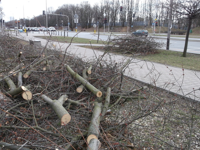 Racławicka, 2019 Racławicka, 2019
