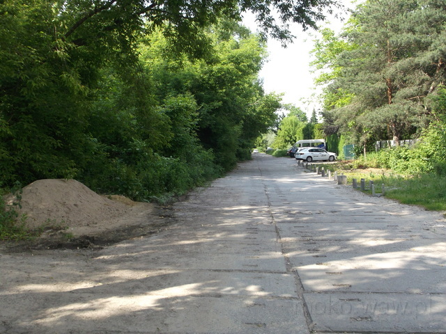 Piaskarzy, 2019 Piaskarzy, 2019