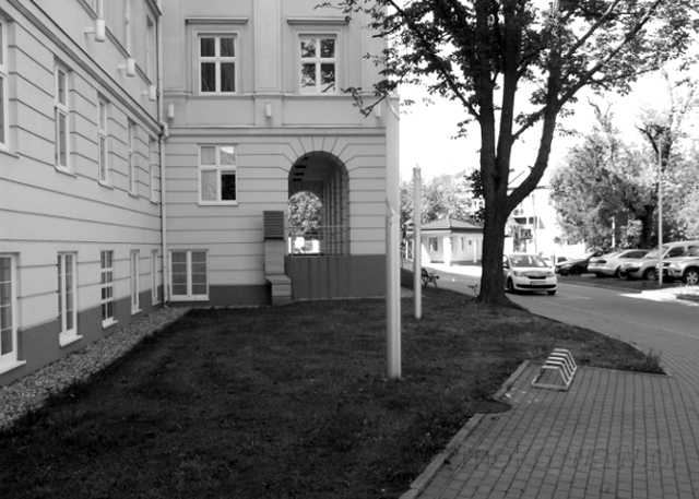Szpital Elżbietanek, 2019 Szpital Elżbietanek, 2019