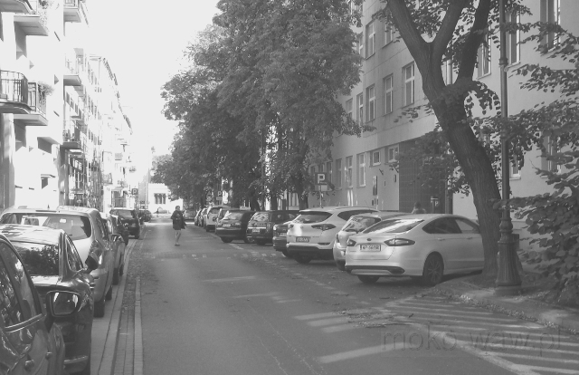 Grażyny, 2019