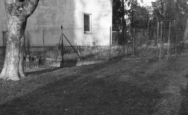 Dąbrowskiego, 2020