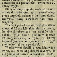 Wypłata pożarta Wypłata pożarta, 1895